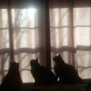 Meet your Posher, Fran